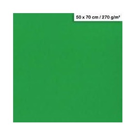 1F couleur Maya 50x70cm 270g vert sapin