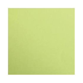 1F couleur Maya 50x70cm 270g vert mousse