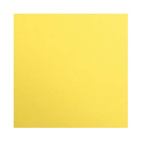 1F couleur Maya 50x70cm 270g jaune citron