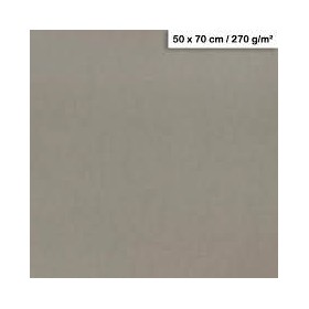 1F couleur Maya 50x70cm 270g gris acier