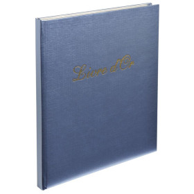 Livre d'Or SHINY 21x19 av titre ass.