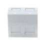 DEXLAN PLASTRON 45X45 INCLINE 30° 2 PORTS RJ45 CAT 6 STP