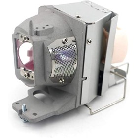 Lampes pour projecteur OPTOMA BL-FU200D