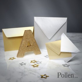 Paquet de 20 enveloppes Pollen 140x140 argent