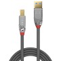 Câble USB 3.2 Type A vers B, 5Gbit s, Cromo Line, 0.5m