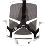 PRO SERIES SUPPORT DORSAL ULTIMATE