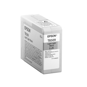 Epson ink cartridge C13T850900 light light black, 80 ml