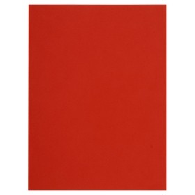 Pt 100 sous-chemises FLASH 80 rouge