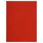 Pt 100 sous-chemises FLASH 80 rouge