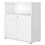 CONNEXION CORPS BLANC RGT MI-HT L100 2P.1N./BL/BL 4c