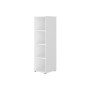 CONNEXION CORPS BLANC COLONNE MI-HAUT L40 4N./BL 2c