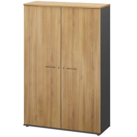 JAZZ + CHENE DU BOCAGE ARMOIRE 2 PORTES L120 5c